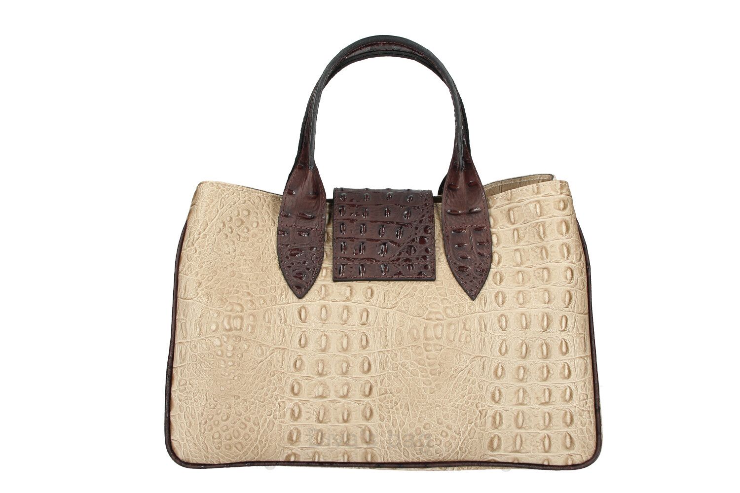 Borsa a Mano DIVA'S Bag Laura Beige con Finiture Marroni